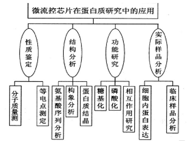 微流控芯片的應用