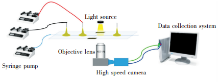  顯微鏡實驗裝置示意圖