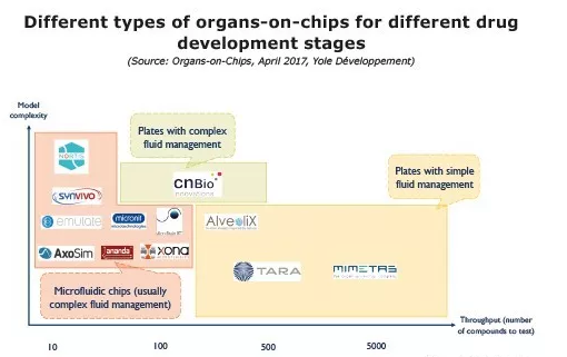 不同類型的器官芯片技術在不同的藥物研發階段所發揮的功能
