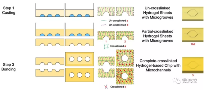 基于二次交聯(lián)的凝膠基微流控芯片制造工藝及原理