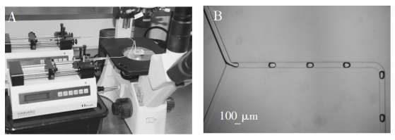 圖2(A)實驗系統裝置;(B)液滴穩定生成