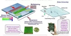 微流控芯片工作原理（圖片來(lái)源：Duke University）