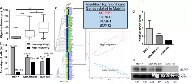 圖 2 低遷移能力的乳腺癌細胞呈現MCPIP1高表達