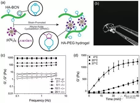 圖片來(lái)自Biofabrication, doi:10.1088/1758-5090/aaf657