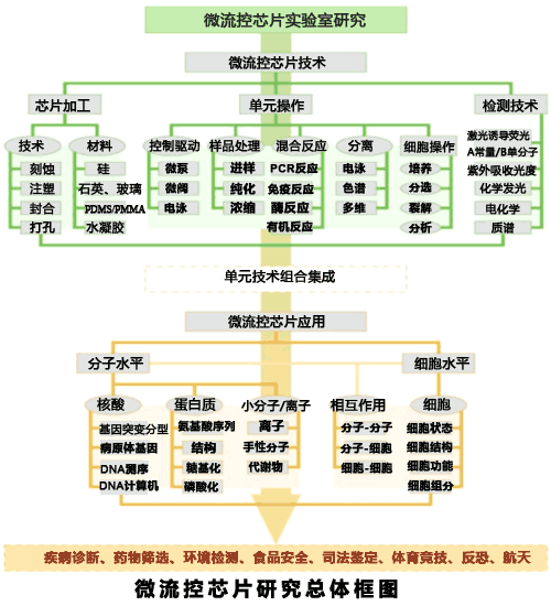 實(shí)驗(yàn)室組建|實(shí)驗(yàn)室設(shè)備