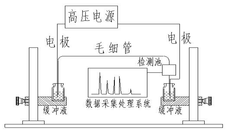 分離原理示意圖