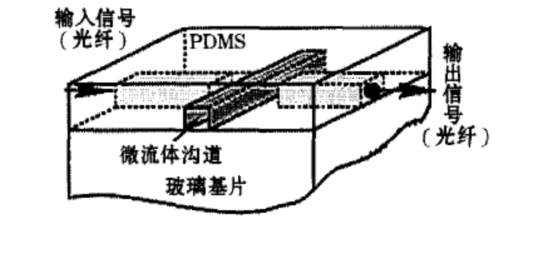 光纖芯片