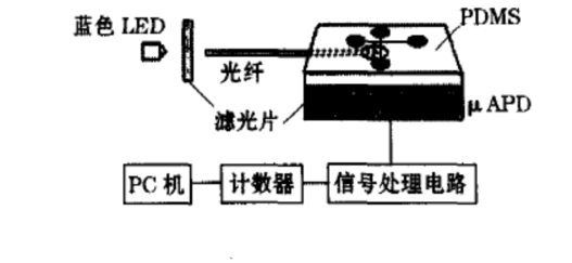 光纖芯片