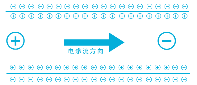 實驗室組建|實驗室設備