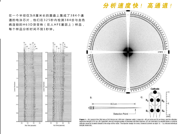 分析檢測