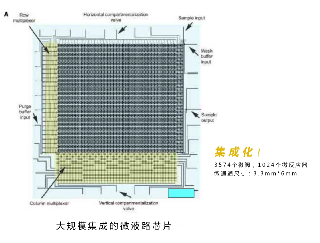 集成化